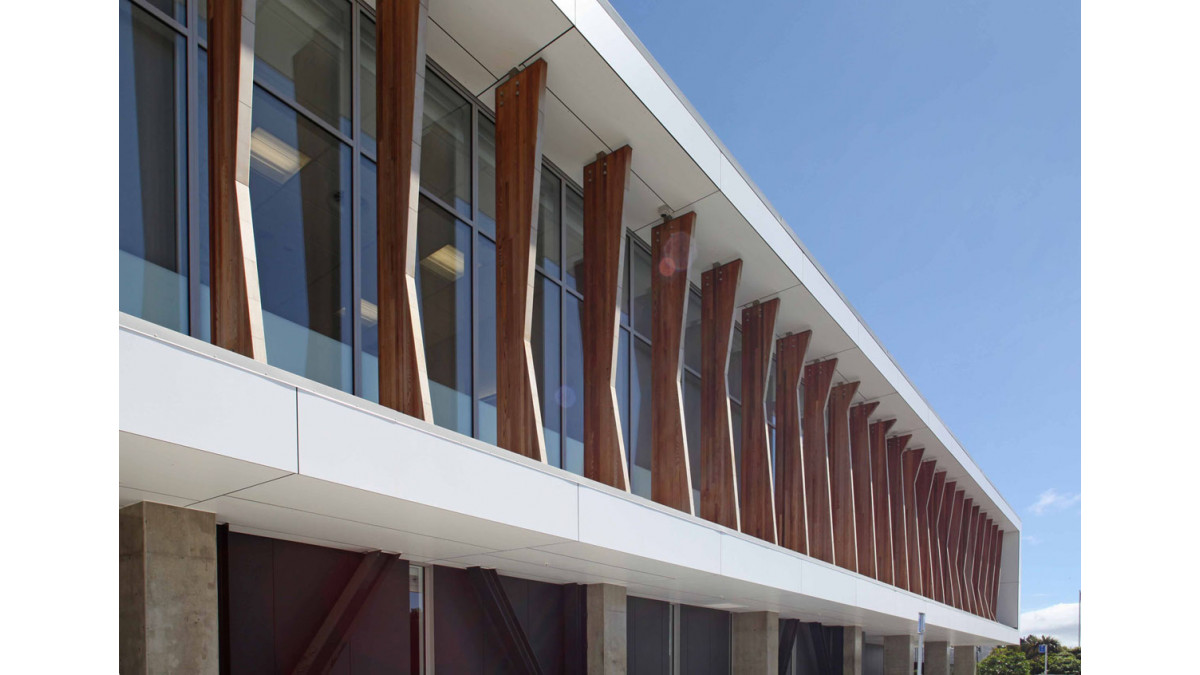 Cedar fins for sun shading have been shaped to follow the contour of Kapiti Island.