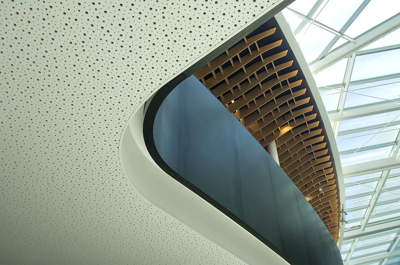Asona's Ceiling Solution for the Sir Paul Reeves Building