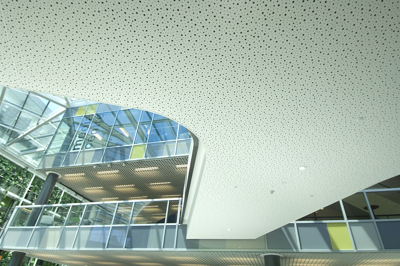 Asona's Ceiling Solution for the Sir Paul Reeves Building