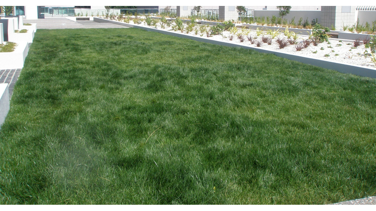 Casali is suitable for use on green roofs and decks.