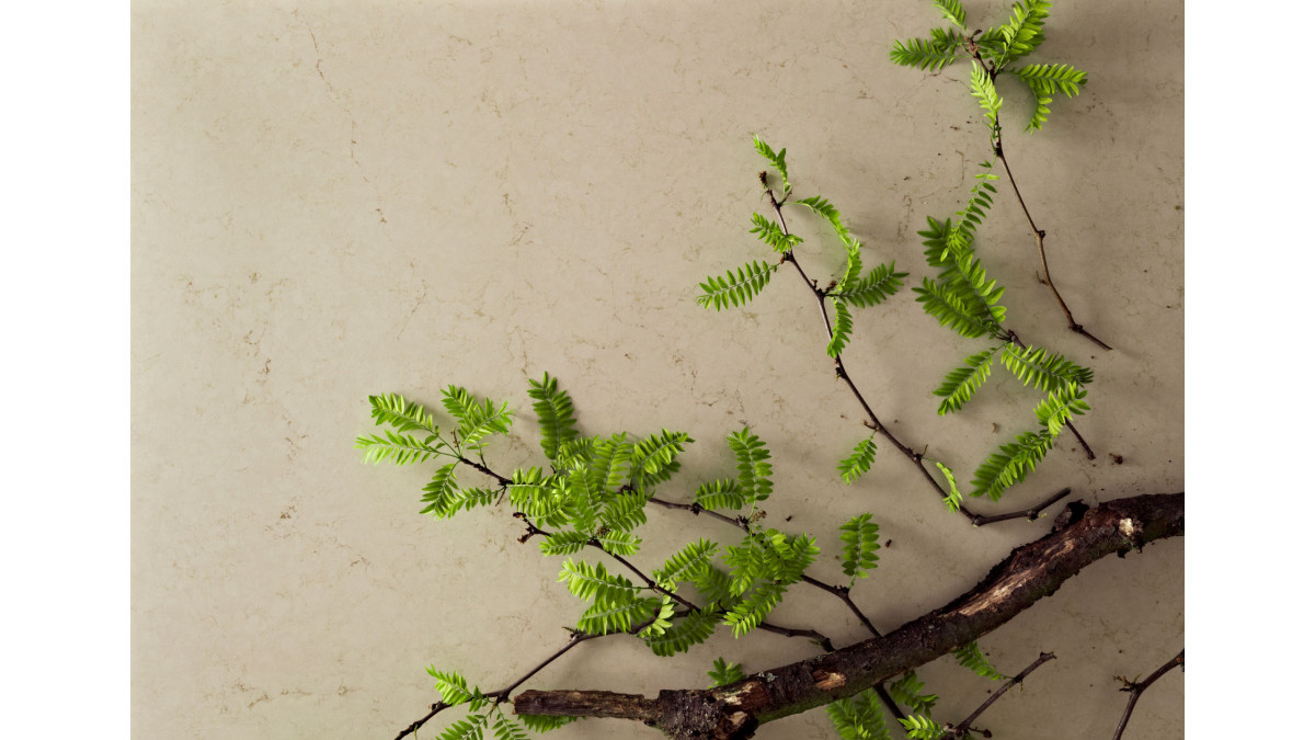 Caesarstone Dreamy Marfil.