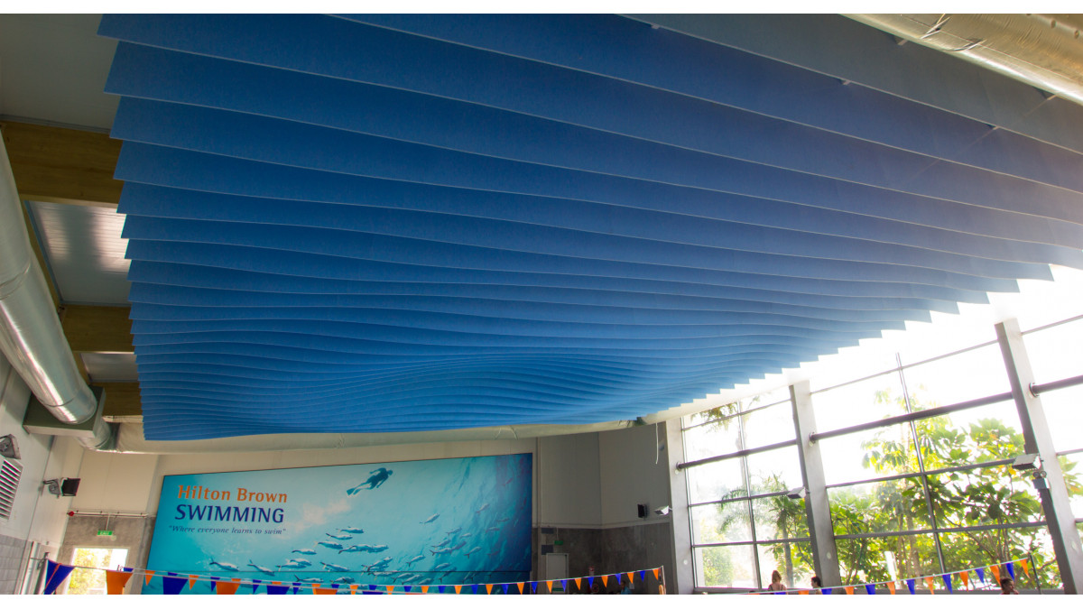 Hilton Brown Swim School – Workstation Fins.