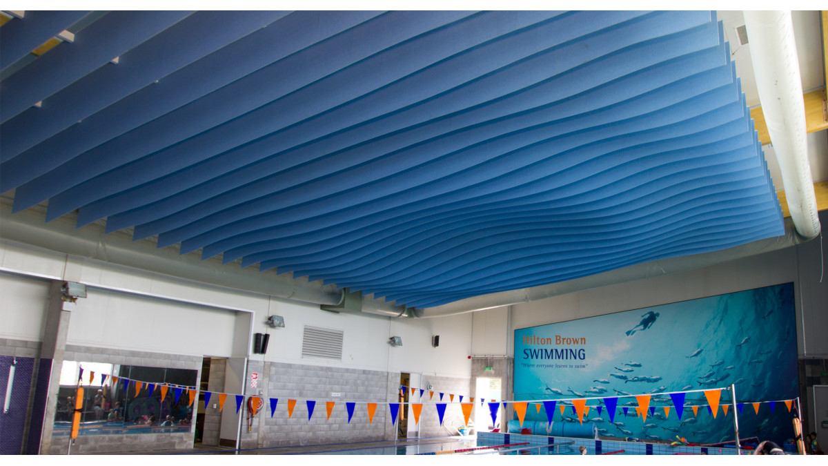 Hilton Brown Swim School – Workstation Fins.