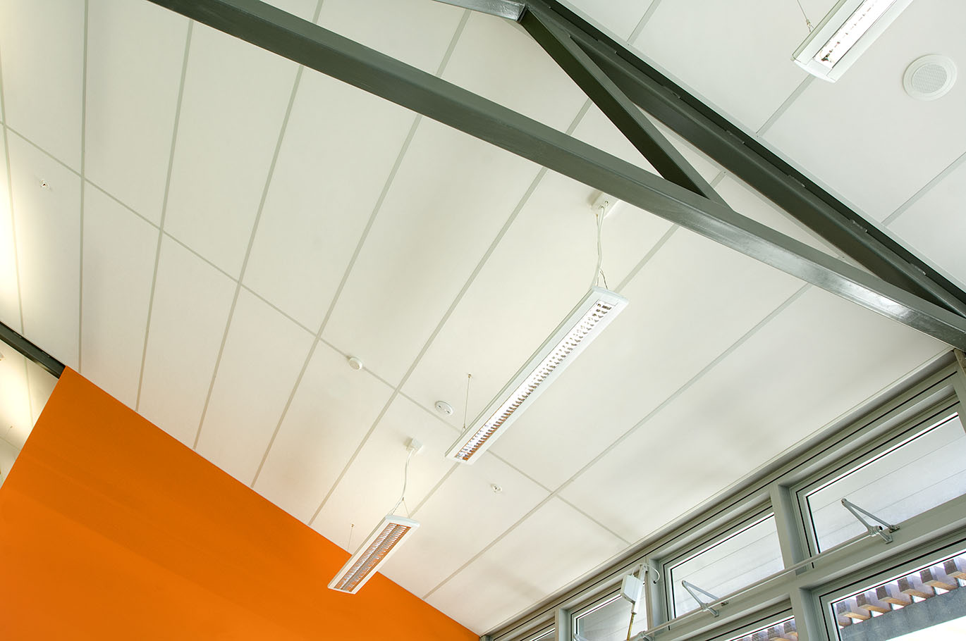 Asona's Triton 25 for Auckland War Memorial Library and School