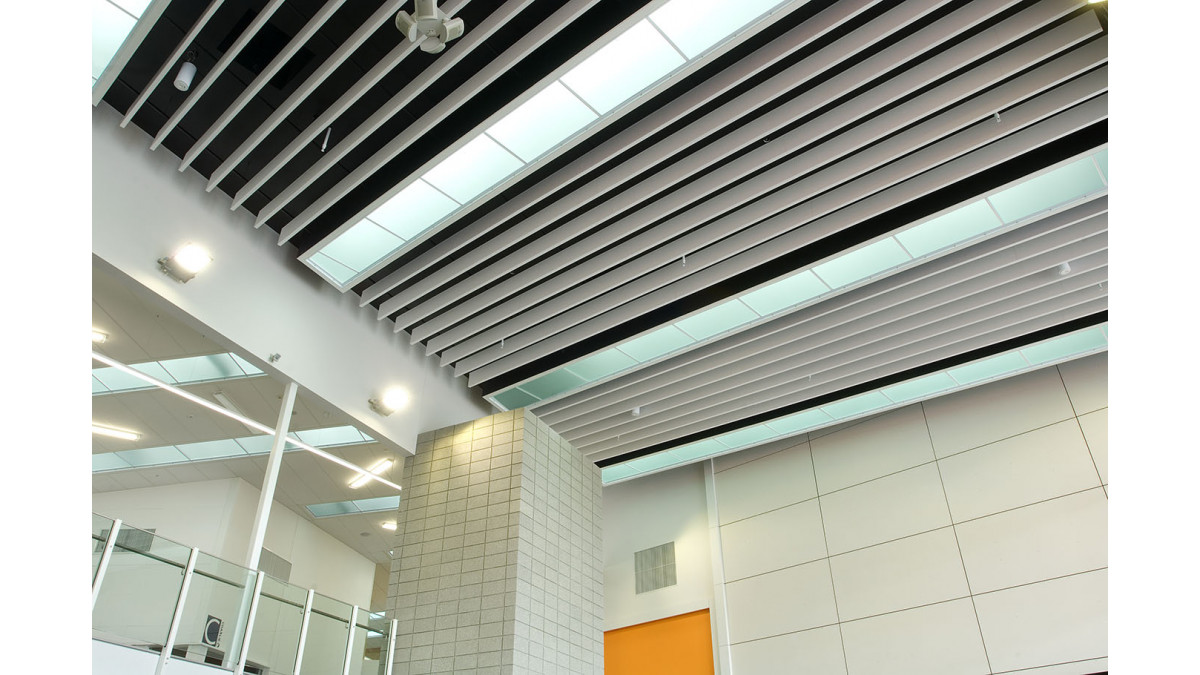 Hobsonville Secondary School — Triton Baffle Beams.