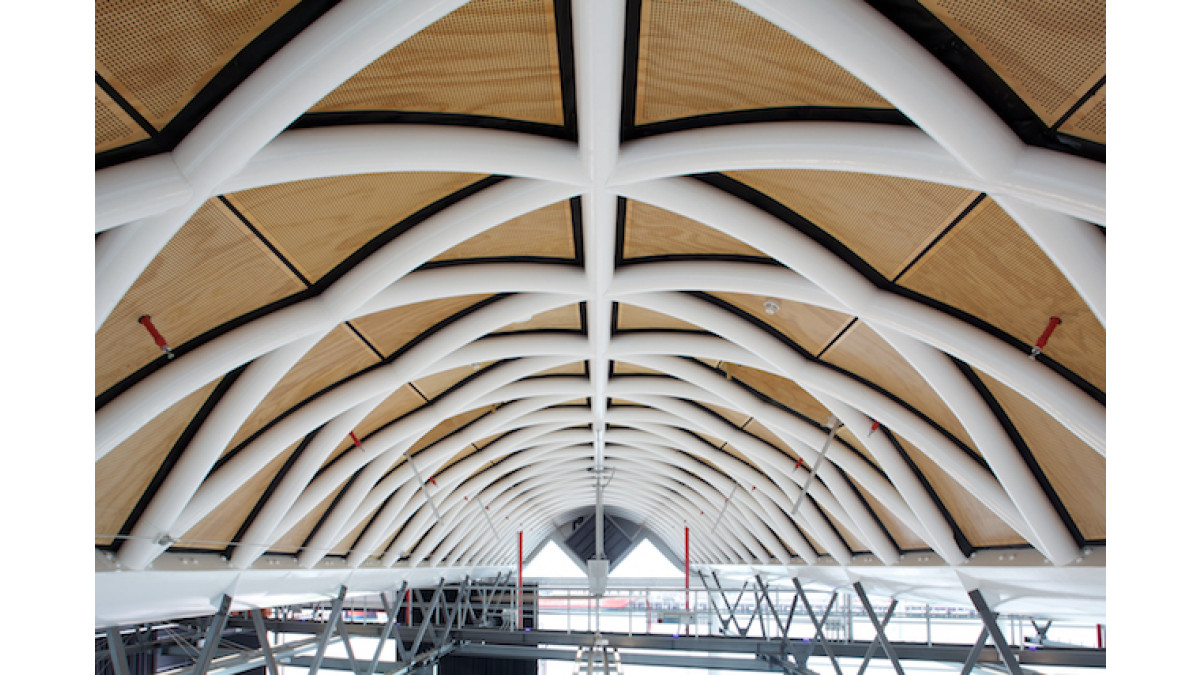 Marine Events Centre — Firesafe Radiata Plywood with Clear Finish.