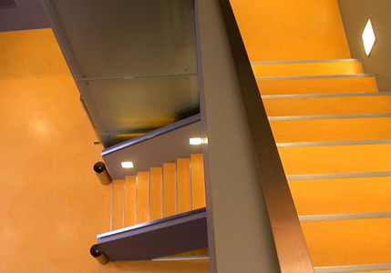 ARDEX Offers Vast Colour and Texture Options for Walls and Floors