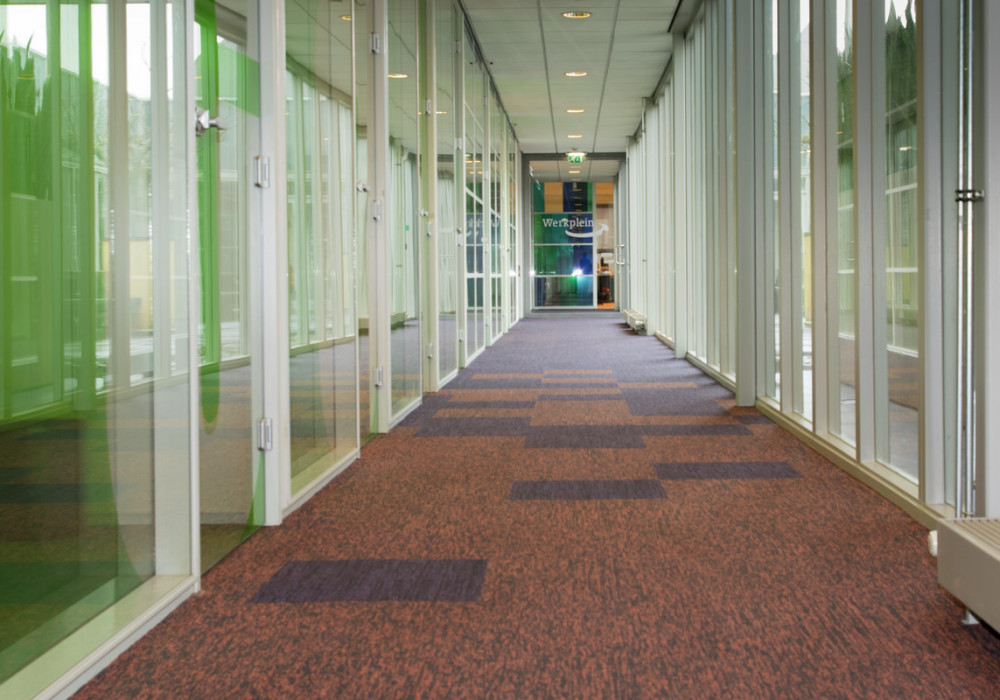Heritage Carpets Offer Fresh and Contemporary Colour Options
