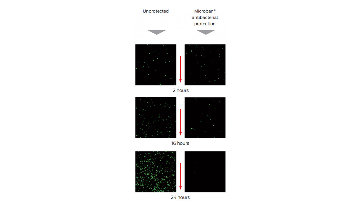 Microban antibacterial protection over 24 hours.