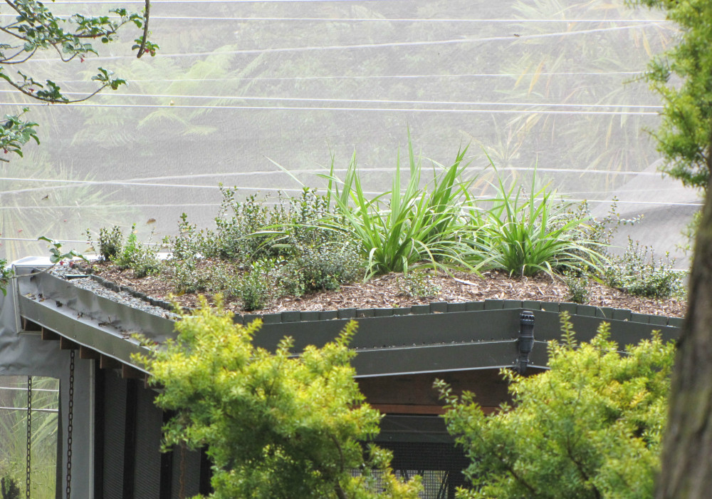 Quality Assured with Viking's Coordinated Roof Garden System