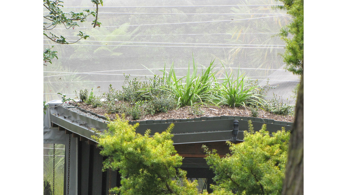 A Viking Roof Garden system at the Auckland Zoo — tying the building into the natural surroundings of the Zoo.