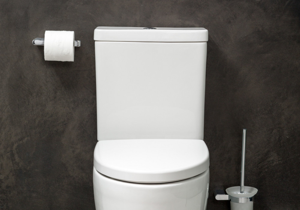 Kohler Introduces Grande Rimless Back to Wall Toilet Suite