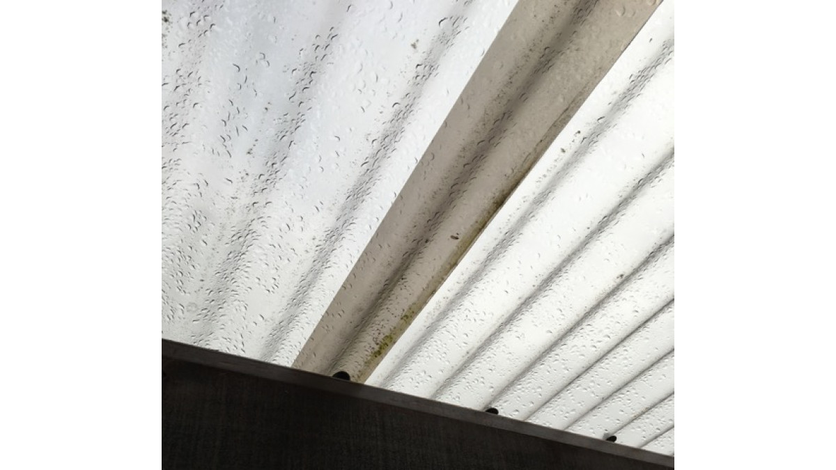 Mould and dirt build up on translucent roofing.