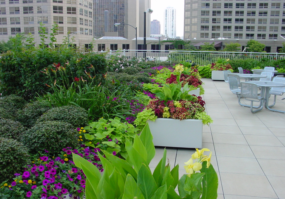 Transform Rooftops into Vibrant Gardens with Allco