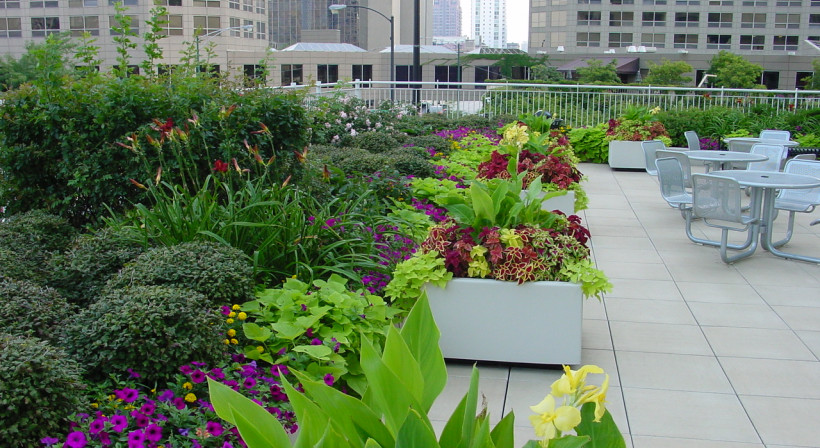 Transform Rooftops into Vibrant Gardens with Allco