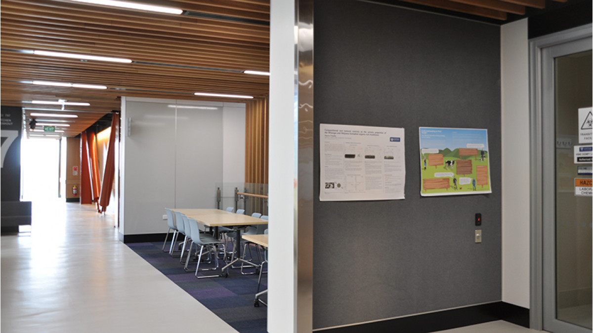 Breakout area — greyboard and acoustic wall covering.