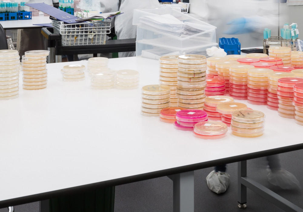 ChemLab Resco Benches Safeguard AsureQuality's Food Testing Division Work