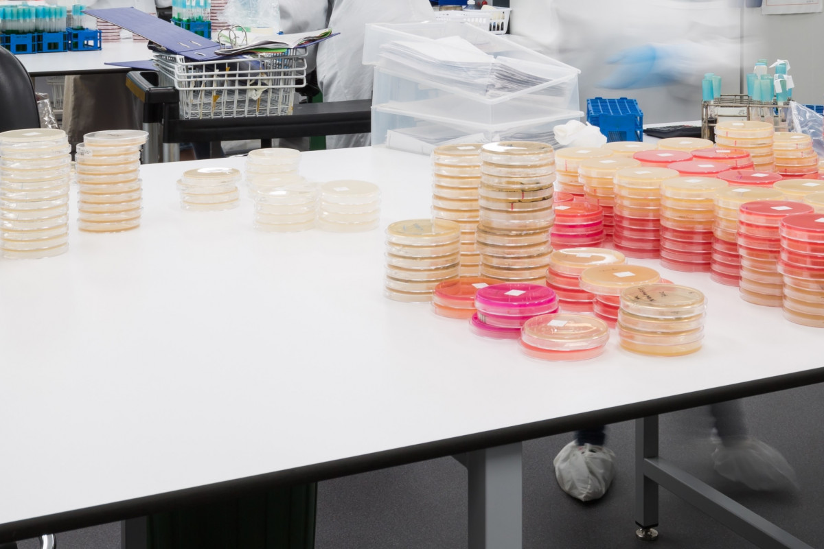ChemLab Resco Benches Safeguard AsureQuality's Food Testing Division ...
