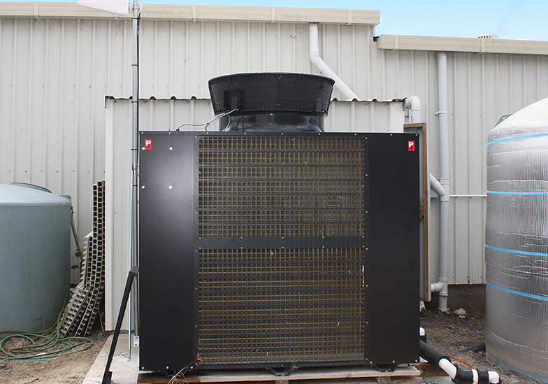 Moana NZ Uses Temperature Control to Save Pāua