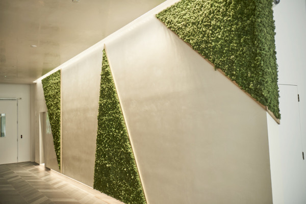 Acoustic Moss Panels: Naturally Sound Absorbing and Versatile