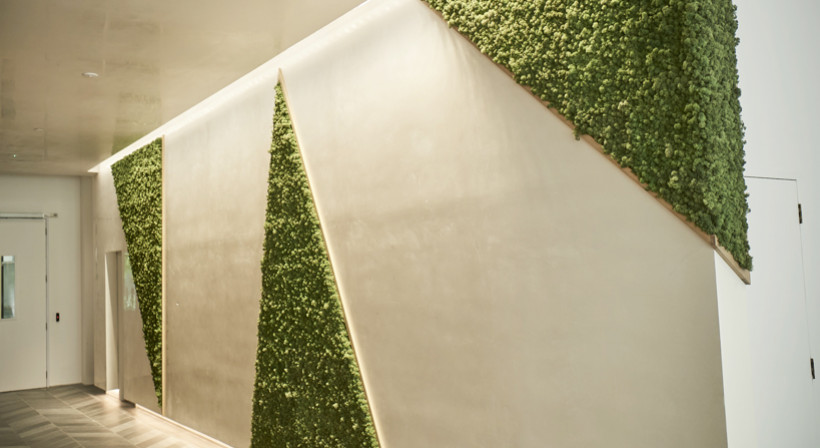 Acoustic Moss Panels: Naturally Sound Absorbing and Versatile