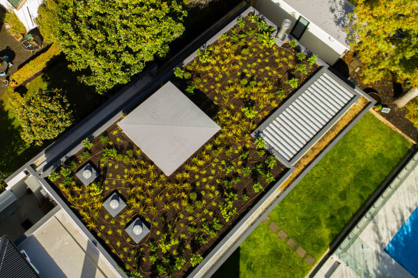 Viking Roof Garden System Keeps Rainwater Under Control