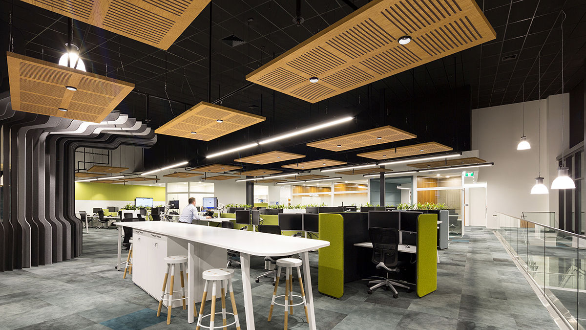 Cubro Office, Tauranga.