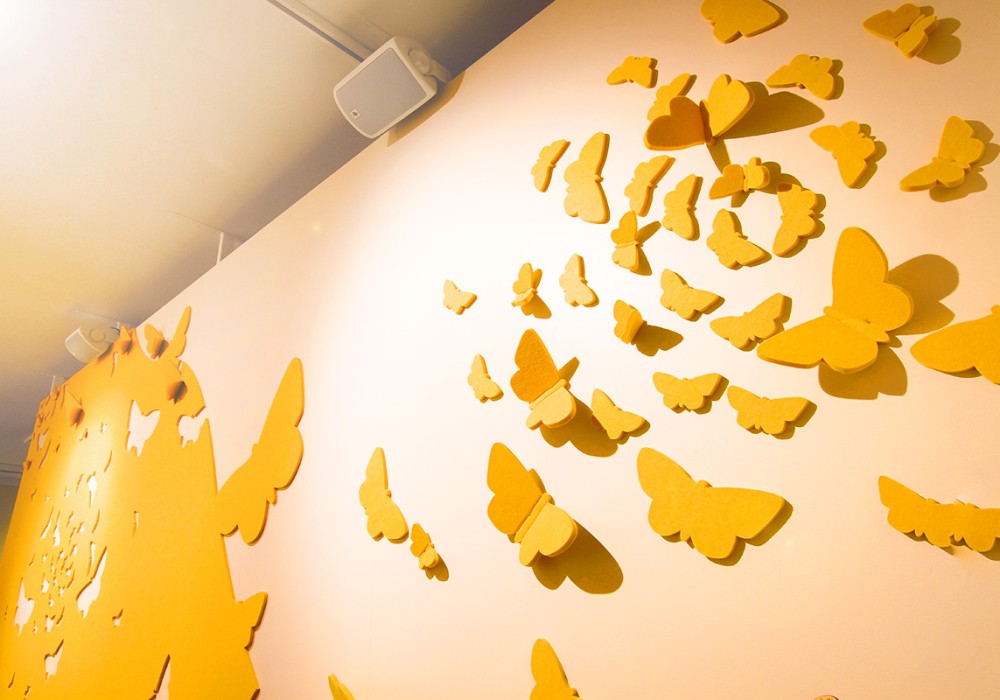 Focus Panel Helps Create Secret World of Butterflies