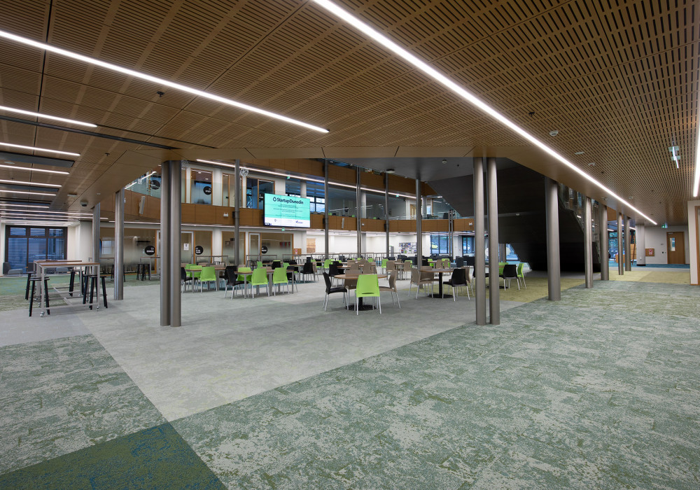 Acres of Atkar in Te Wao Nui Otago Business School
