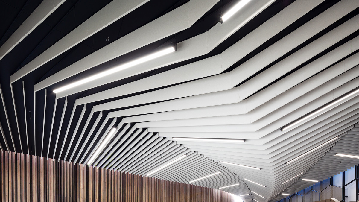 Bespoke Frontier ceiling feature in atrium – Taronga Institute of Science and Learning.