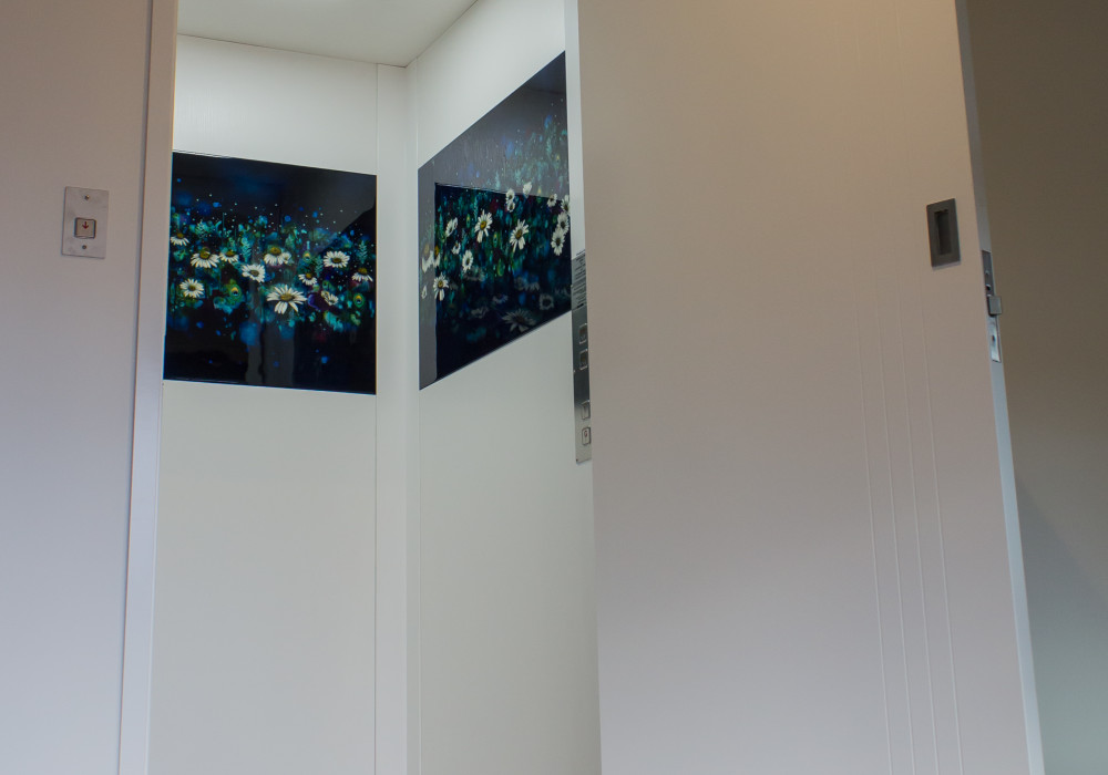 Lift Showcases Original Art in New Home