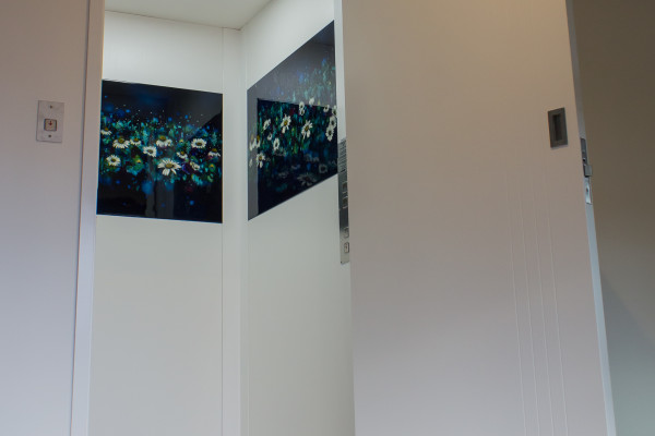 Lift Showcases Original Art in New Home 