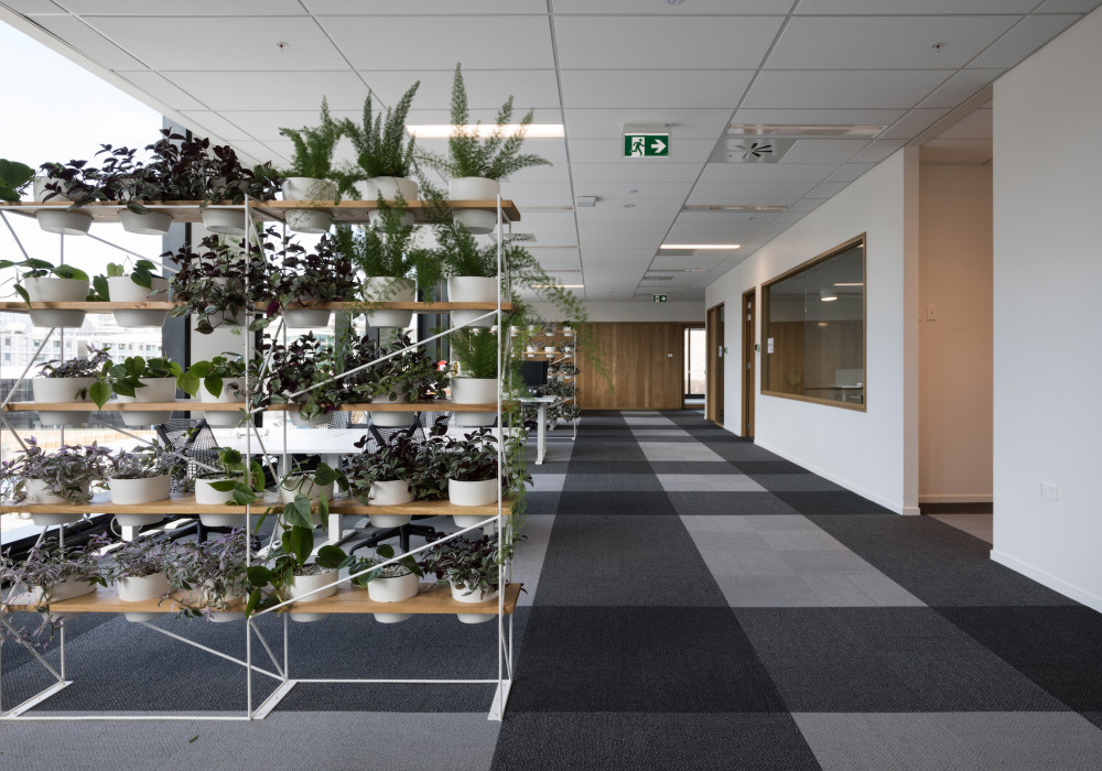 Forman Adds Flair to Collaborative Workspace