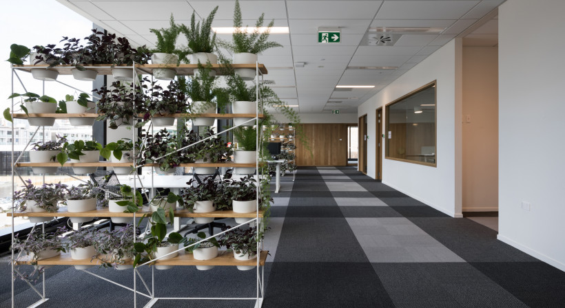 Forman Adds Flair to Collaborative Workspace