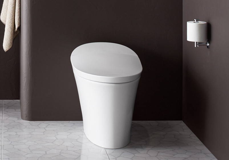 Lifting the Veil on Smart Toilets