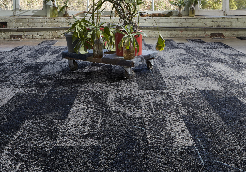 Introducing Bentley Mills Carpets to New Zealand