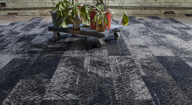 Introducing Bentley Mills Carpets to New Zealand