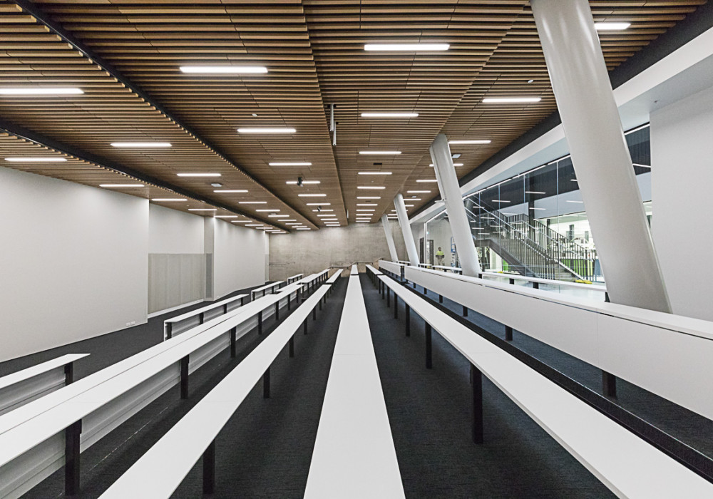 Create a Sophisticated Interior Space with Timber Veneer Slats