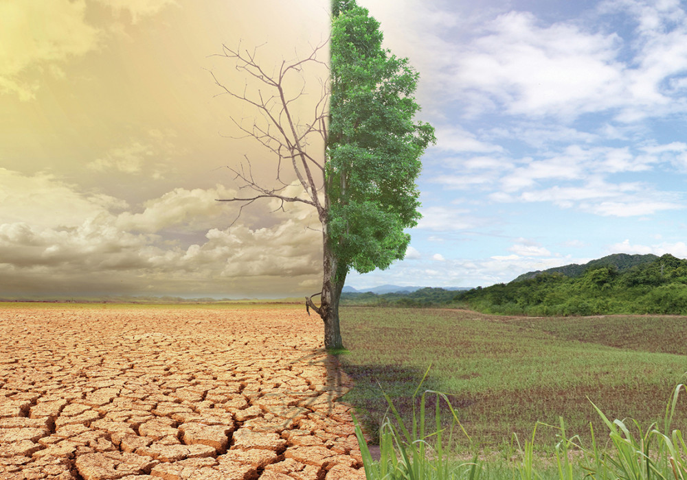 Winstone Wallboards is Committed to Protecting the Environment