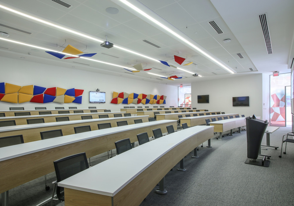 Choose Modulyss dBack Acoustic Backing for Education Projects