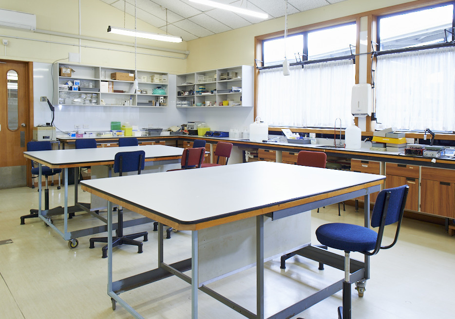 Highest Grade Resco Compact Laminate Lab Surfaces at NorthTec 