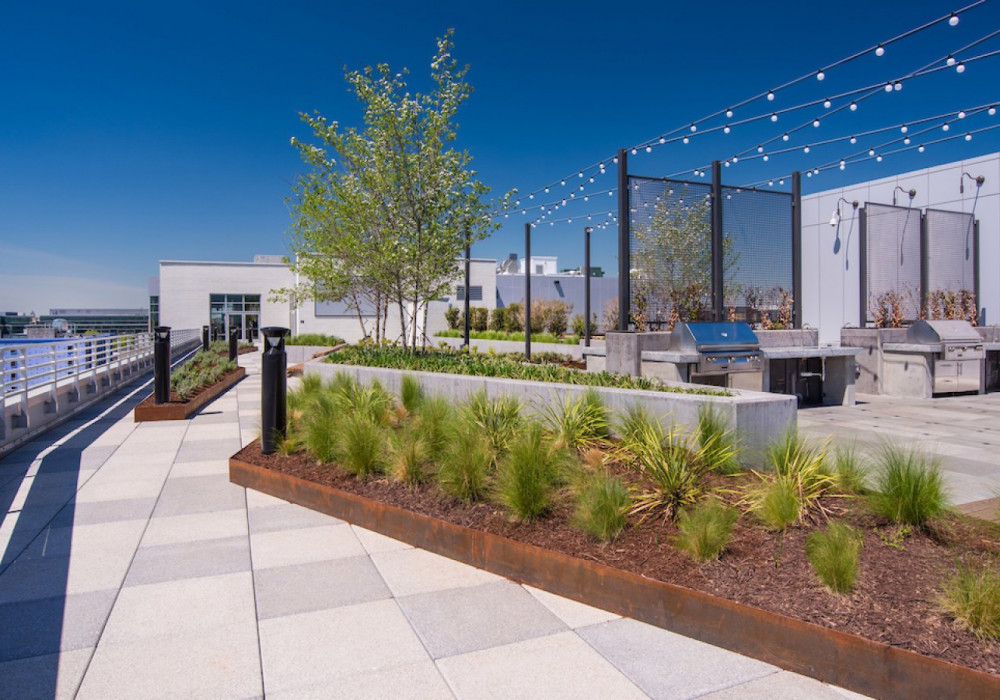 Utilising “Plateau Drainage” When Designing Zero-Pitched Roofs