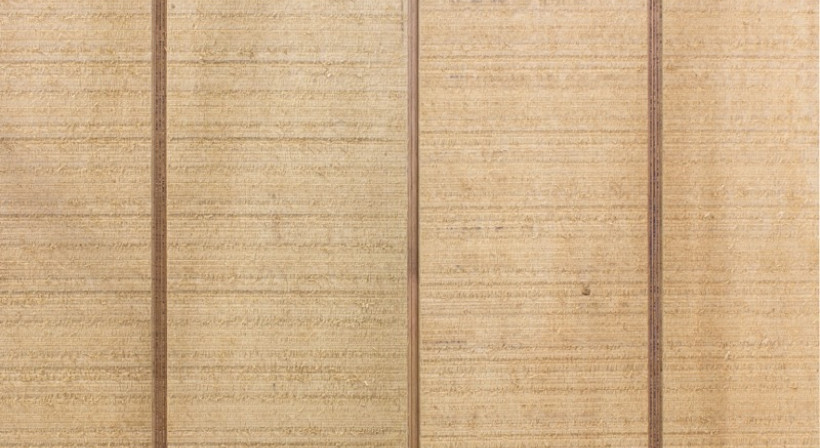 New IBuilt Plywood Cladding: Long Lengths, Treated to the Core
