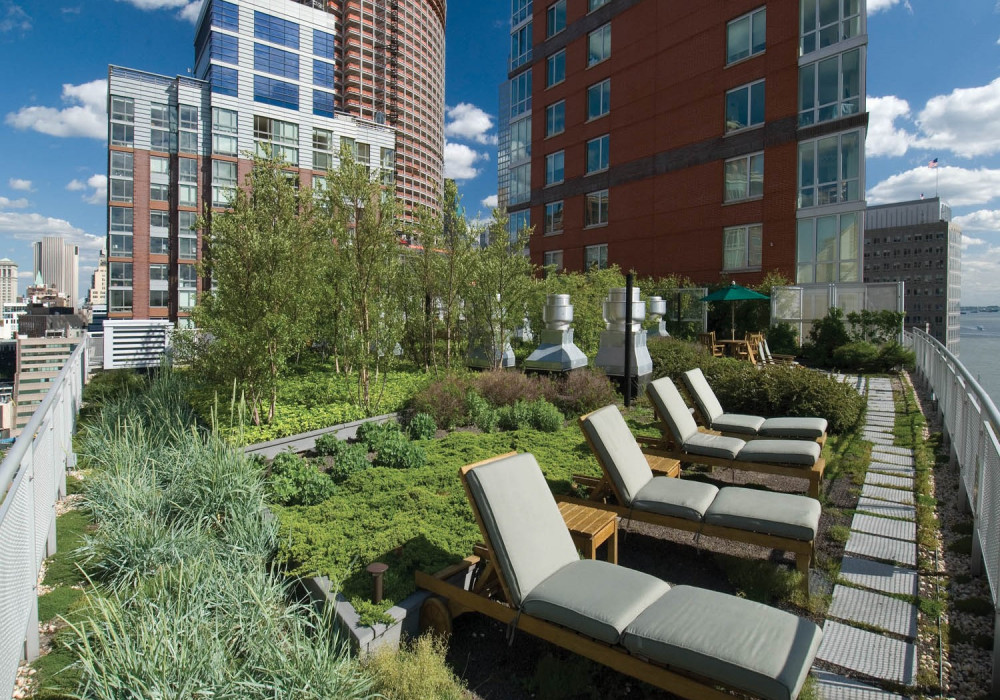 Green Roof Benefits Far Exceed Sustainability