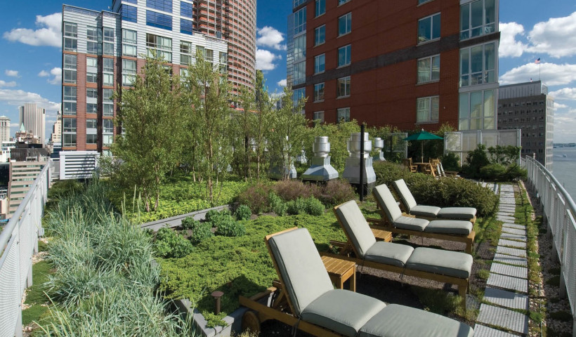 Green Roof Benefits Far Exceed Sustainability