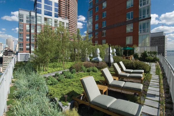 Green Roof Benefits Far Exceed Sustainability