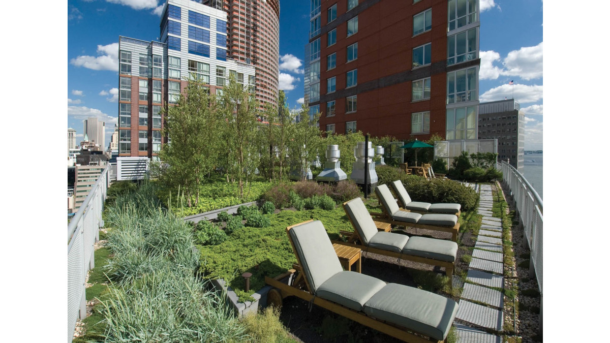 Roof top garden.