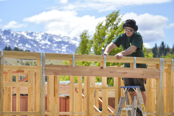 Sustainable Kiwi-Made Timber Minimises Environmental Impact