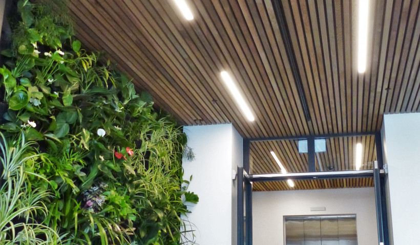 Zone Resolves Challenge of Fire Rating Timber in Moist Conditions