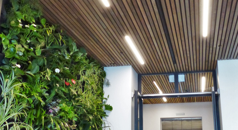 Zone Resolves Challenge of Fire Rating Timber in Moist Conditions